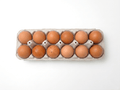 A carton of 12 brown eggs